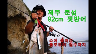 [쇼어 플러깅]제주도 서귀포 문섬 90cm 오버 잿방어 히트!