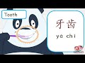 学习中文-面部五官（Learn Chinese-Body Parts-Face ）-中英对照，标准发音