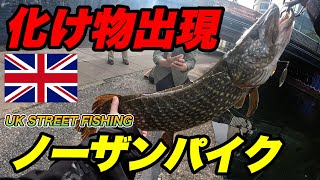 【United Kingdom】イギリスロンドンで死ぬまでにノーザンパイクを釣りたい［STREET FISHING］