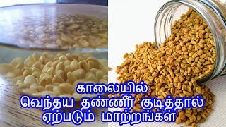 காலையில் வெந்தய தண்ணீர் குடித்தால் ஏற்படும் மாற்றங்கள்