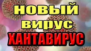 Новый вирус ХАНТАВИРУС