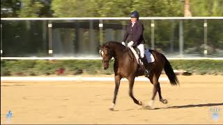 USDF Introductory Level Purpose and Directives