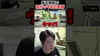 【タルコフ】日本語を話す韓国人野良に笑うKH #shorts