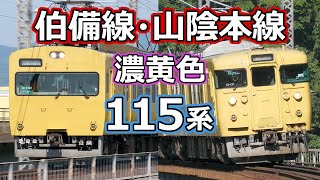 115系伯備線と山陰本線 JR西日本の濃黄色編成