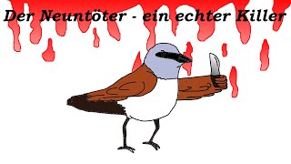 Der Neuntöter   ein psychopathischer Vogel