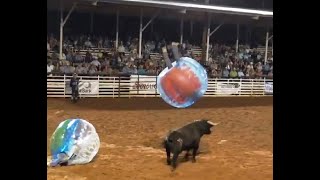 Bull Bubble Soccer -- Whacked by a Bull