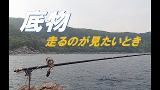 天草・大江】夏磯の日中釣り