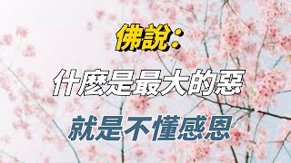 佛說：什麽是最大的惡，就是不懂感恩【佛經靜心咒】#佛學