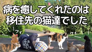 【田舎移住と保護猫たち】長年の病を癒してくれた猫たち・移住先での出会い