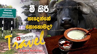 How To Make Curd | slarticles travel | Monaragala - අපි කන මී කිරි හැදෙන්නේ කොහොමද?