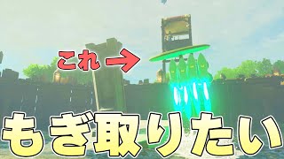 オープニングでもお世話になる水に浮いてるハスの葉を完全に破壊することはできるのか【ゼルダの伝説ティアーズオブザキングダム実況】