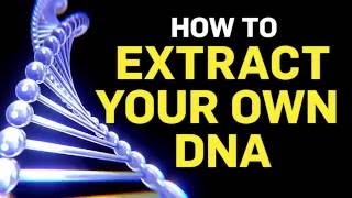 How To Extract Your Own DNA Using Basic Kitchen Supplies