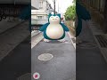 ゴンベ、カビゴンになる！？ pokemon ポケモン ゴンベ カビゴン shorts