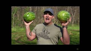 Watermelon time