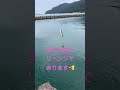 short 福井県釣り ふぐ 雨にも負け風にも負け雷もなり…そしてフグが釣れる（笑）