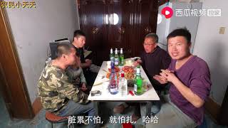 农民小天天：岳父来女婿家还带瓶酒， 还劝女婿敞开喝，这几个人关系不一般啊