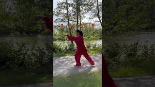 #形意拳 #kungfu #chinamartialarts 形意九字打法歌诀 Xingyi nine character style song formula 演练者：欧阳家茜 Angela