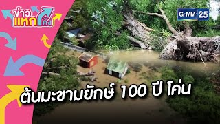 ต้นมะขามยักษ์ 100 ปี โค่น |Highlight |ข่าวแหกโค้ง |GMM25