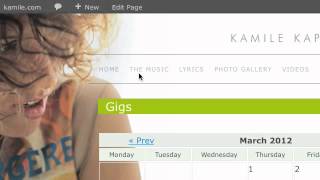 WordPress PlugIns and Widgets Tutorial
