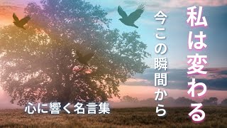 【自己肯定感】少しずつでも続ける事で明日は変わる！#心に響く名言#自己肯定感アップ#やる気#自信