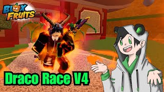 Draco Race V4 ယူနည်း