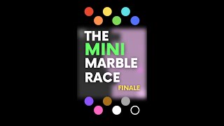The Mini Marble Race (FINALE)