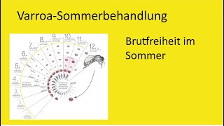 Brutfreie Varroabehandlung im Sommer