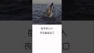 【科級巡洋艦】 【科學教育】地球冷知識，9則，了解下～腦洞大開，崇尚科學，講有趣的知識，一起探索未知的神秘。#科學#科普#