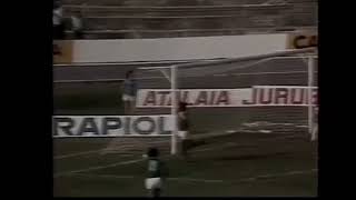 Jorge Mendonça (Guarani) - 07/09/1980 - Guarani 2x2 Botafogo-SP - 1 gol
