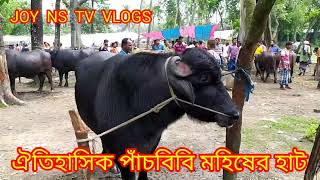 বিশাল মহিষের হাট। পাঁচবিবি তে অনেক সুন্দর সাজে মহিষ হাটে উঠেছে। মহিষের দাম কত তা যানাবো।