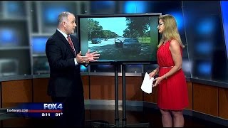Pete Schulte weighs in on Sandra Bland dashcam arrest video