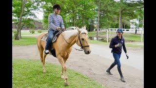 新千歳空港からわずか15分　名馬に会えて馬にも乗れる『ノーザンホースパーク』が楽しすぎる