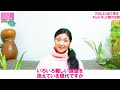 フラによく出てくるpua「花」と愛のお話　 フラダンス フラ 女性 趣味