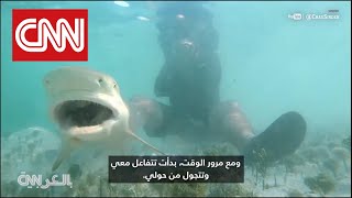 CNN Dubai interview. Sitting with Lemon sharks.