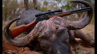 Cape Buffalo Hunt (South Africa Part 1 of 2) - Viking Chronicles with Kyle Lamb (Season 2)