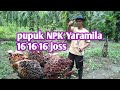 Pupuk NPK Yaramila 16 16 16 joss