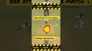 bee 🐝🐝 attack on Live match #cricket #india #indiacricketteam