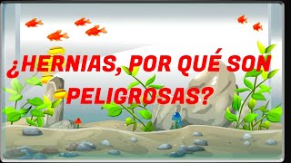 ¿HERNIAS, POR QUÉ SON PELIGROSAS?