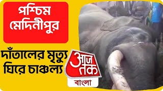 বিশাল দাঁতাল হাতির মৃত্যু ঘিরে চাঞ্চল্য | শালবনির লক্ষণপুরে | elephant death | Aaj Tak Bangla