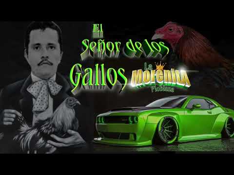Qué Dice El Señor De Los Gallos Así Es El Corrido De El Mencho