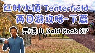 红叶小镇Tenterfield，两日游攻略-下，秃顶山国家公园，观怪石，赏山景，澳洲旅游，#杰克船长在澳洲