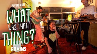 Grains perform Pans live At Flying Nun Records