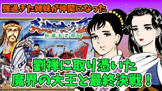 天地を喰らう2改造版秋風五丈原！まさかの裏ボス２！レアキャラ嵐と麗が仲間になって最後の戦い！