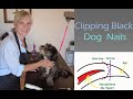 Clipping Black Dog Nails (with Grinding) - Gina's Grooming