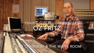 Oz Fritz - Echo Chambers