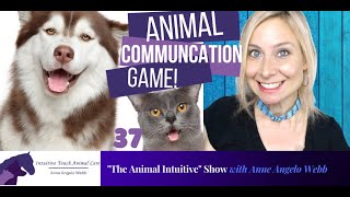 Learn Animal Communication 101 Easy Fun Tip | Ep 37