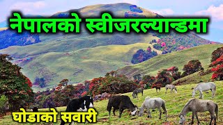 नेपालको स्वीजरल्यान्ड भनेर चिनिने मैयुङ्डाँडामा घोडाको सवारी | हासपोखरीको अचम्मलाग्दो रहस्य