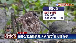 中國鳥稀客\