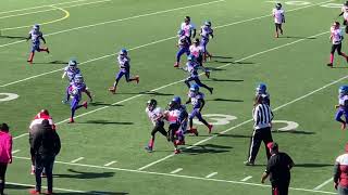 Collinwood Cobras vs Glenville Elite Panthers 2019 (Playoffs)