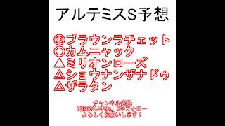 アルテミスステークス2024 AI予想